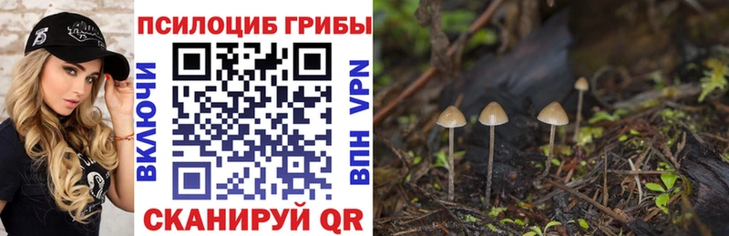 блэк спрут вход  Урай  Псилоцибиновые грибы Magic Shrooms  сколько стоит 